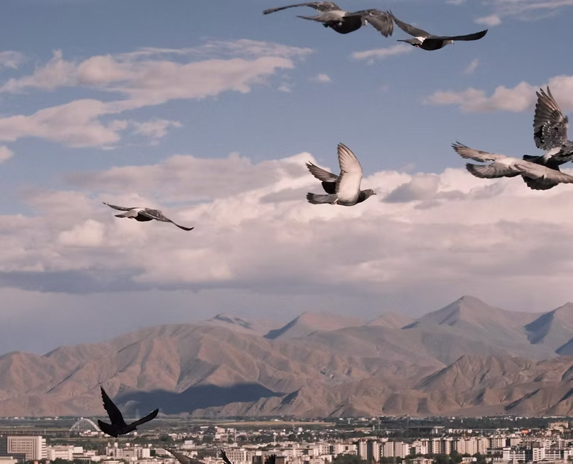 Tibet Pilgrimage Adventure Trip