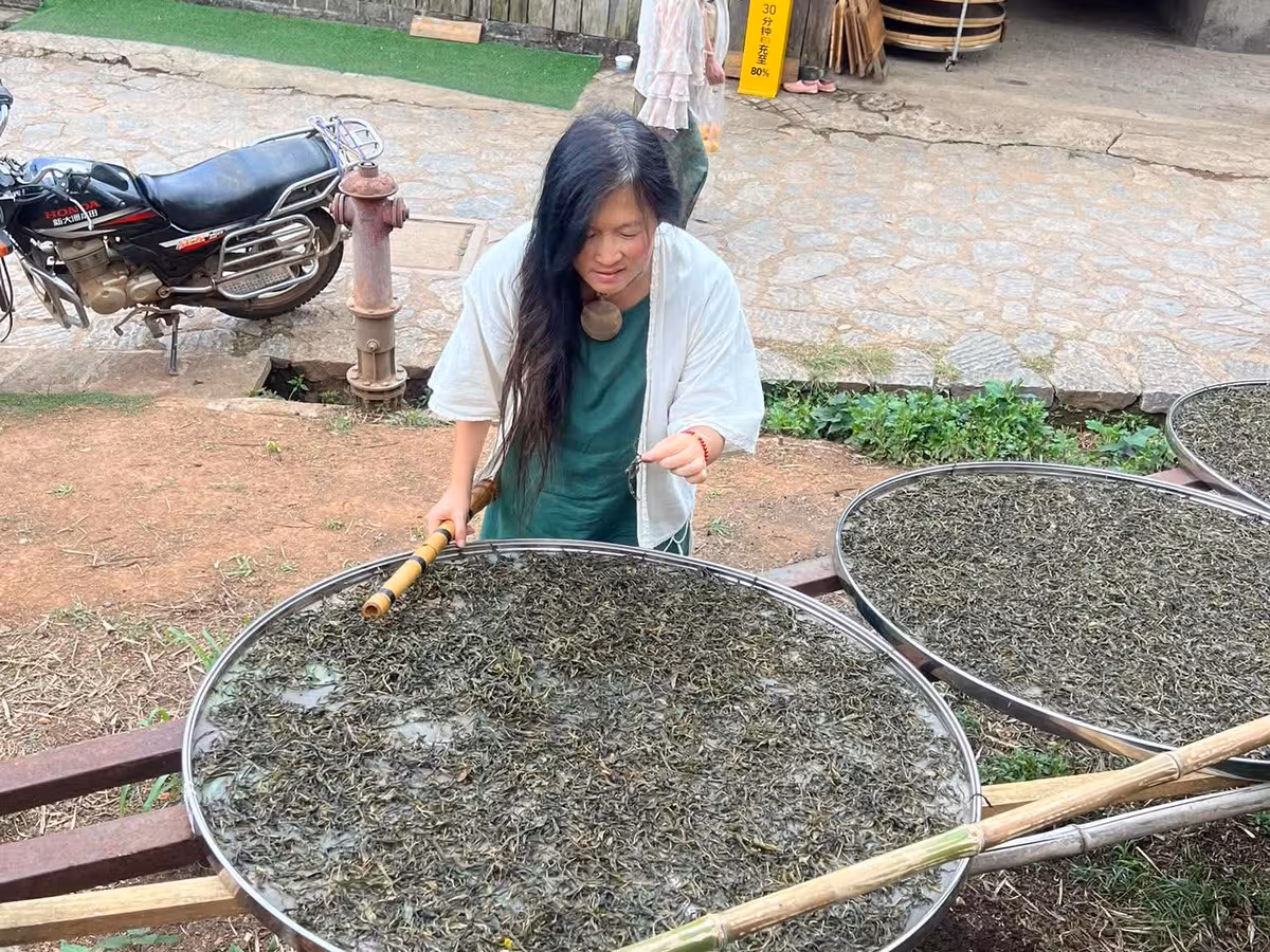 Jingmai Mountain Tea Plantation Village Retreat